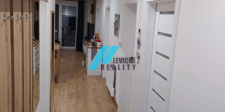 levicke-reality-9