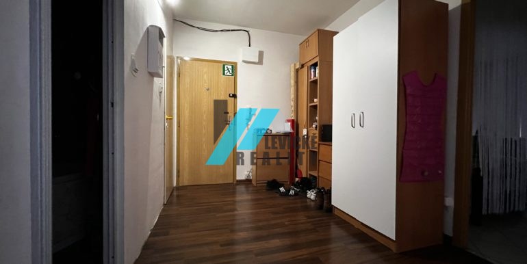 levicke-reality-5