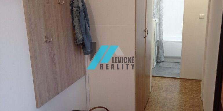 levicke-reality4 (1)