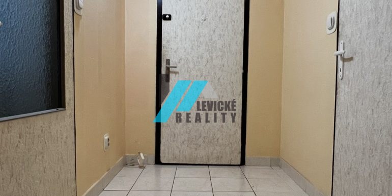Levicke-reality-5