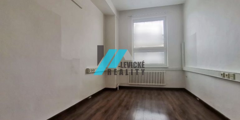 levicke-reality-1