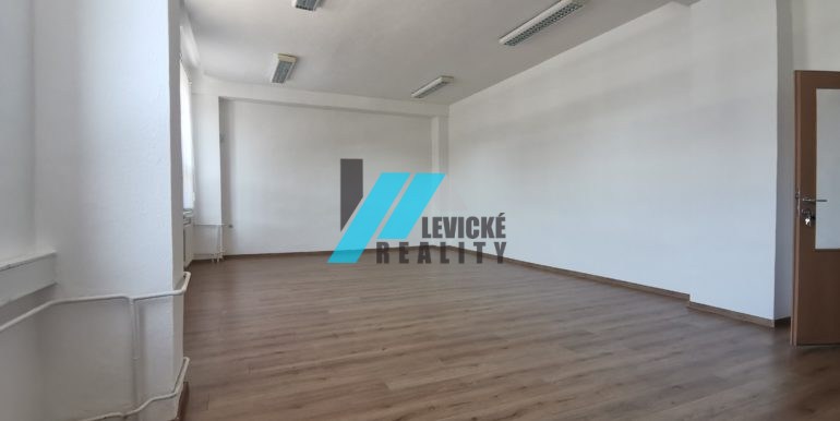 levicke-reality-1