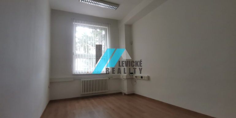 levicke-reality-1