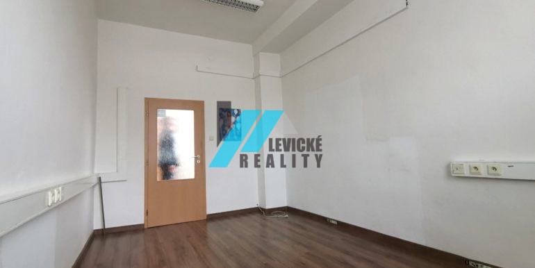 levicke-reality-2