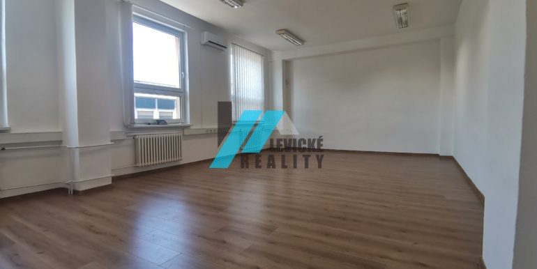 levicke-reality-2