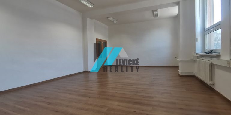 levicke-reality-3