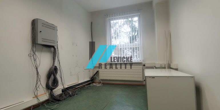 levicke-reality-4