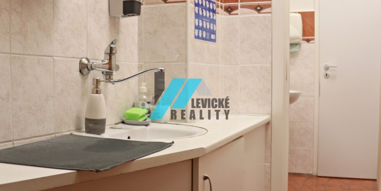 levicke-reality-5