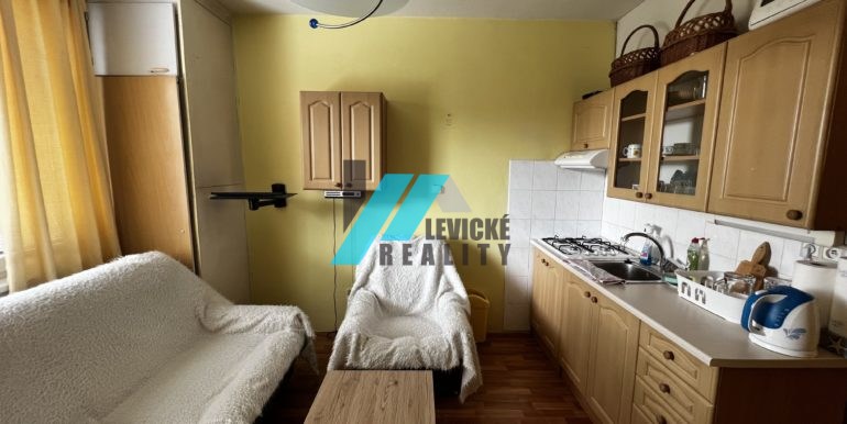 Levicke-reality-2