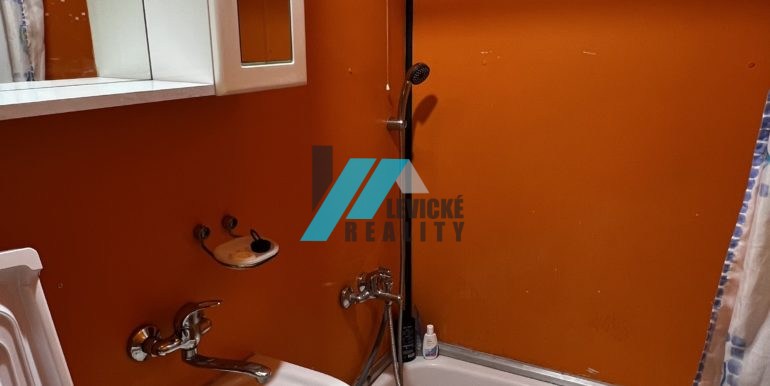 Levicke-reality-3