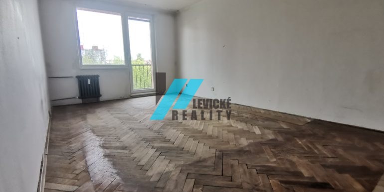 levicke-reality-2