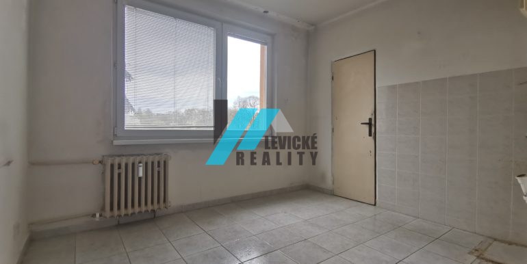 levicke-reality-6
