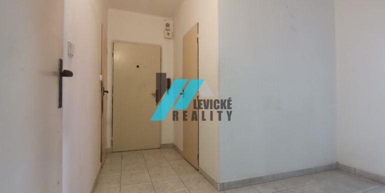 levicke-reality-8