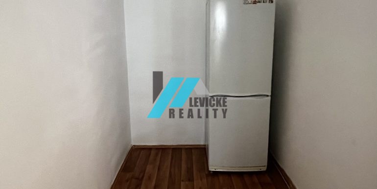 Levicke-reality-6