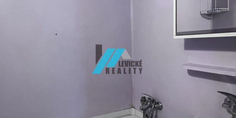 Levicke-reality-7