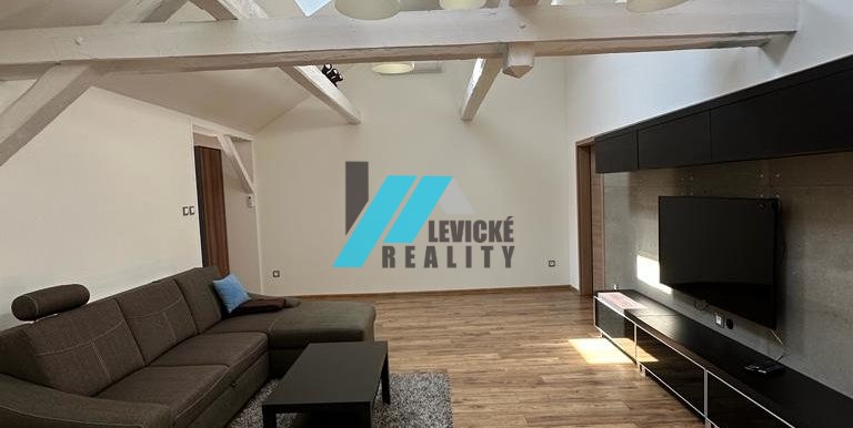 Levicke-reality-2