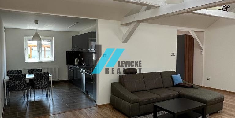 Levicke-reality-3