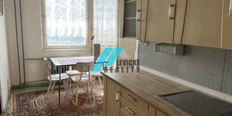 Levicke-reality-4