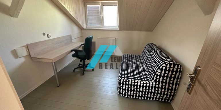 Levicke-reality-6