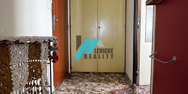 Levicke-reality-8
