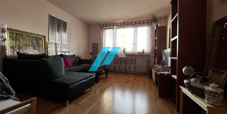 Levicke-reality-1