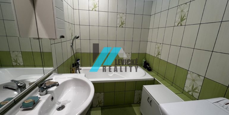 Levicke-reality-4