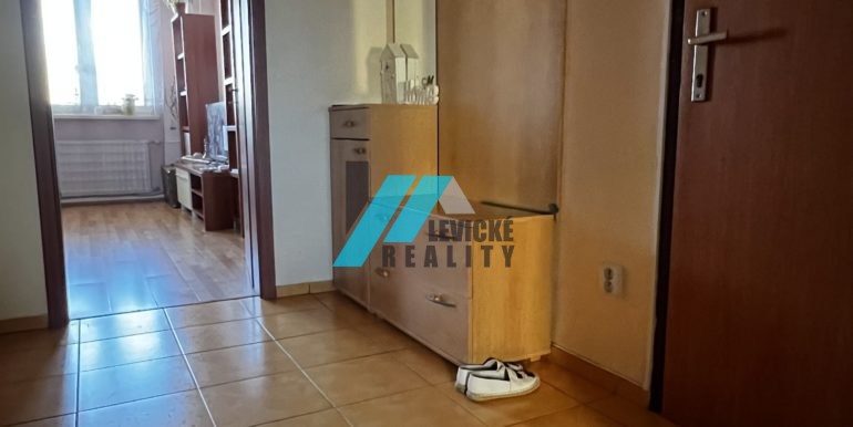 Levicke-reality-5