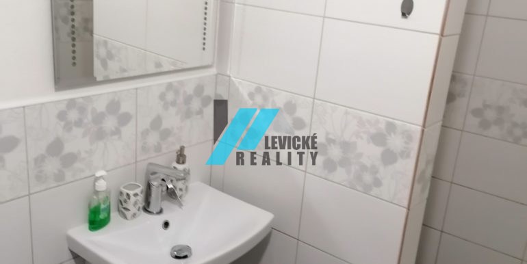 Levicke-reality-5