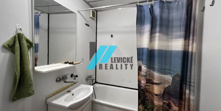 Levicke-reality-6