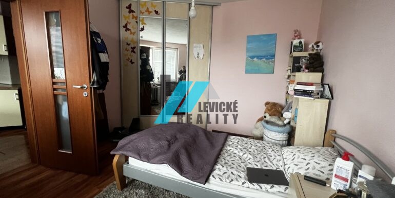 Levicke-reality-4