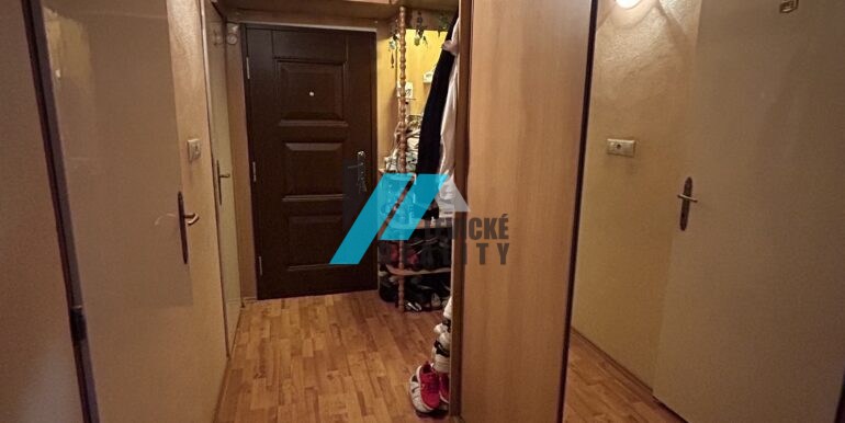 levicke-reality-5