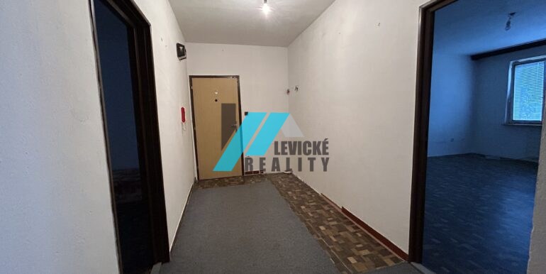 levicke-reality-6