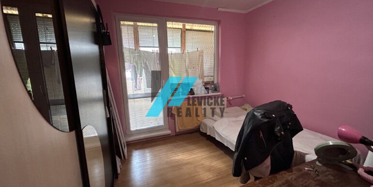 levicke-reality-6