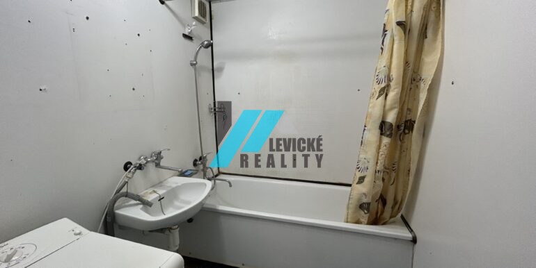 levicke-reality-7