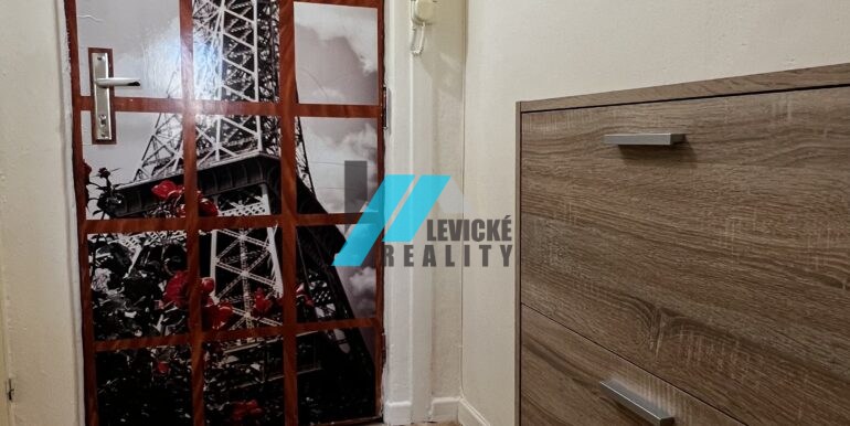 Levicke-reality-4