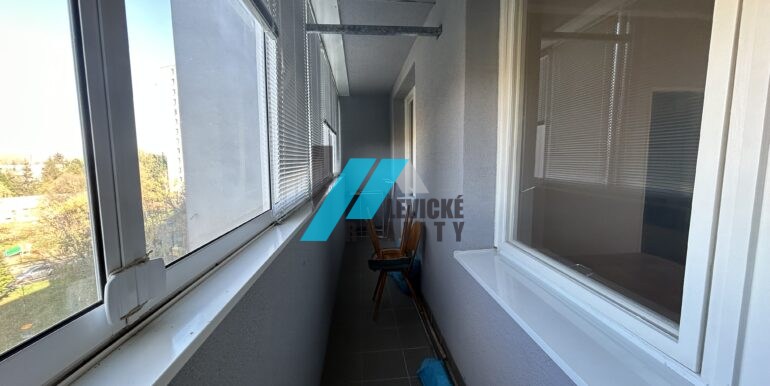 levicke-reality-1 (1)