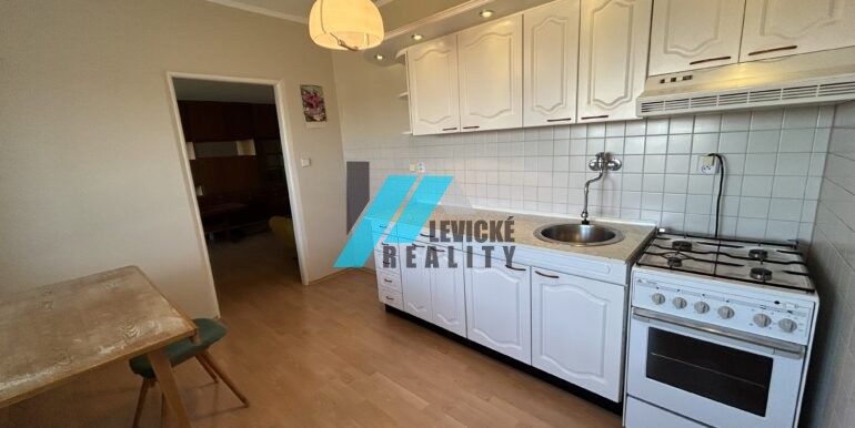 levicke-reality-1 (10)