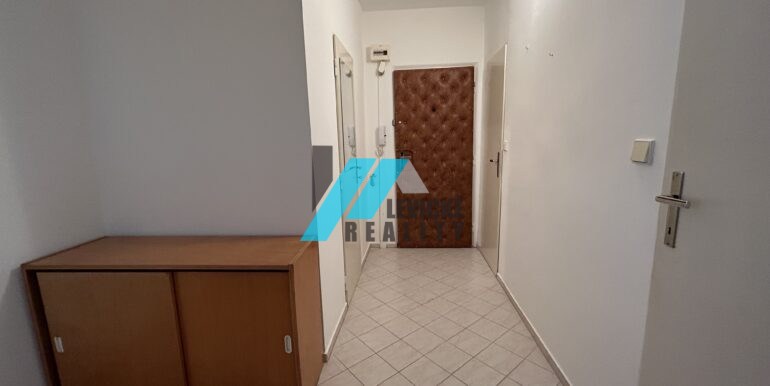 levicke-reality-1 (2)