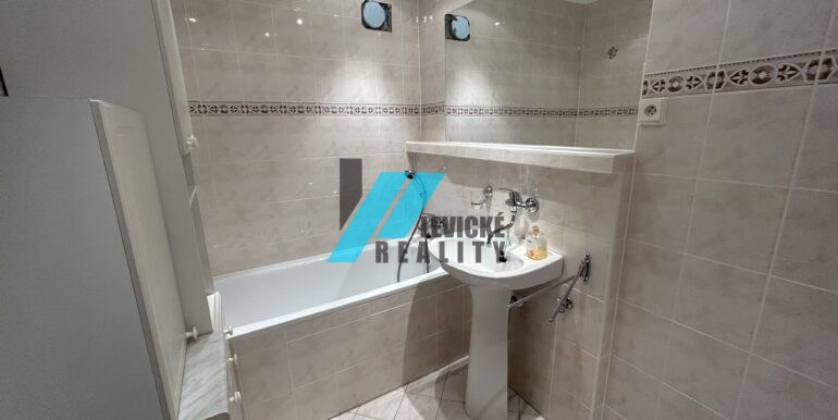 levicke-reality-1 (4)