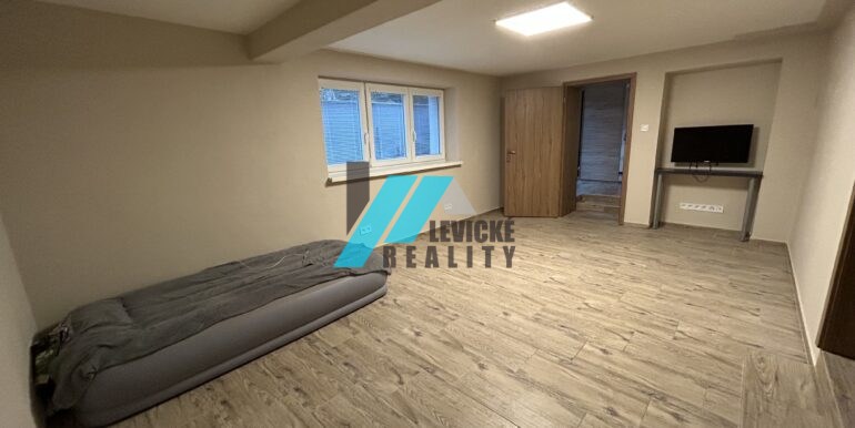 levicke-reality-1