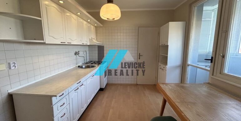 levicke-reality-1 (9)