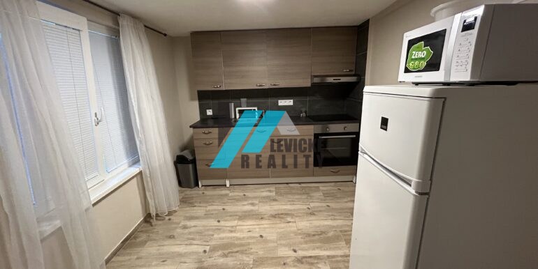 levicke-reality-5