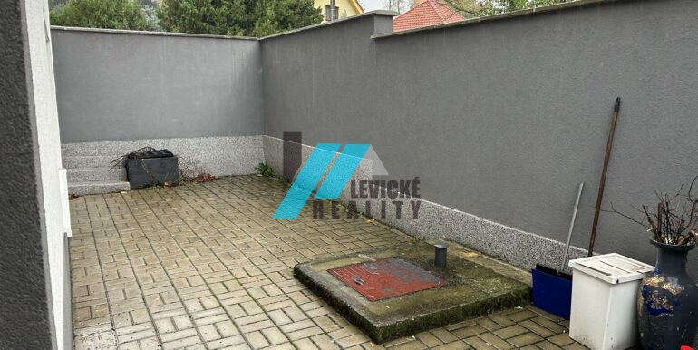 levicke-reality-6