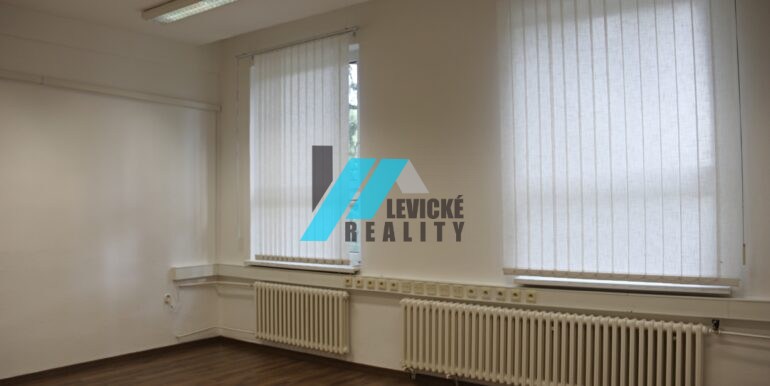 levicke-reality-2