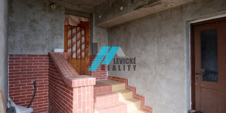 levicke-reality-6