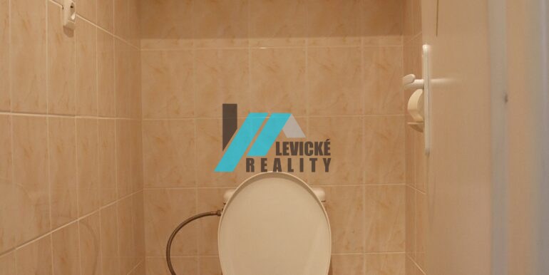 levicke-reality-7