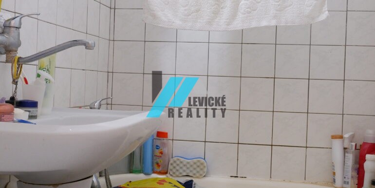 levicke-reality-9