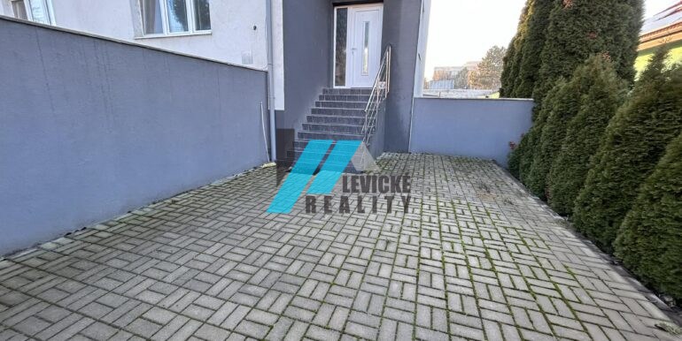 levicke-reality-10
