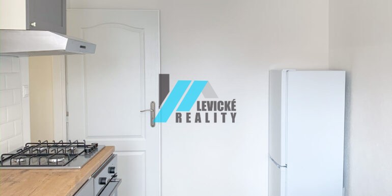 levicke-reality-2 (1)