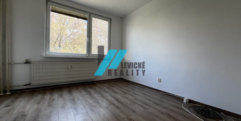 Levicke-reality-4